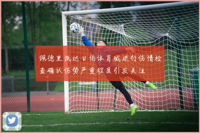 佩德里抵达甘伯体育城进行伤情检查确认伤势严重程度引发关注